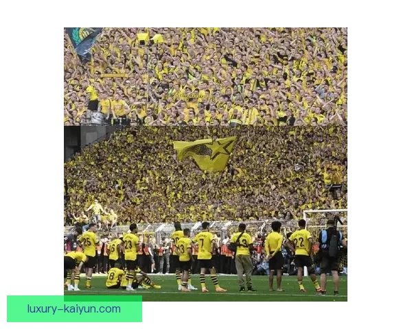 德甲大黄蜂迎来新主帅，球队状态回暖重燃争冠希望